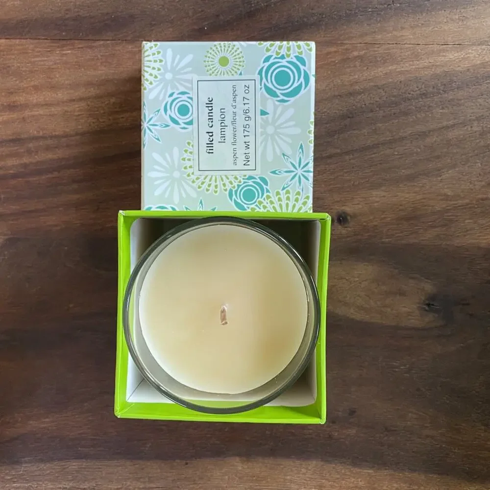 Pier 1 One Imports Aspen Flower Filler Candle 6.17 oz New